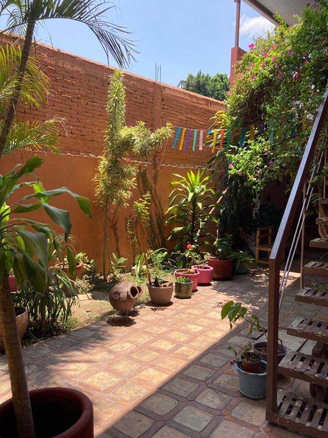 Oaxaca Calida Habitacion A 10 Min De Santo Domingo מראה חיצוני תמונה