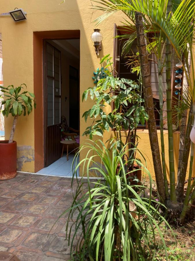 Oaxaca Calida Habitacion A 10 Min De Santo Domingo מראה חיצוני תמונה