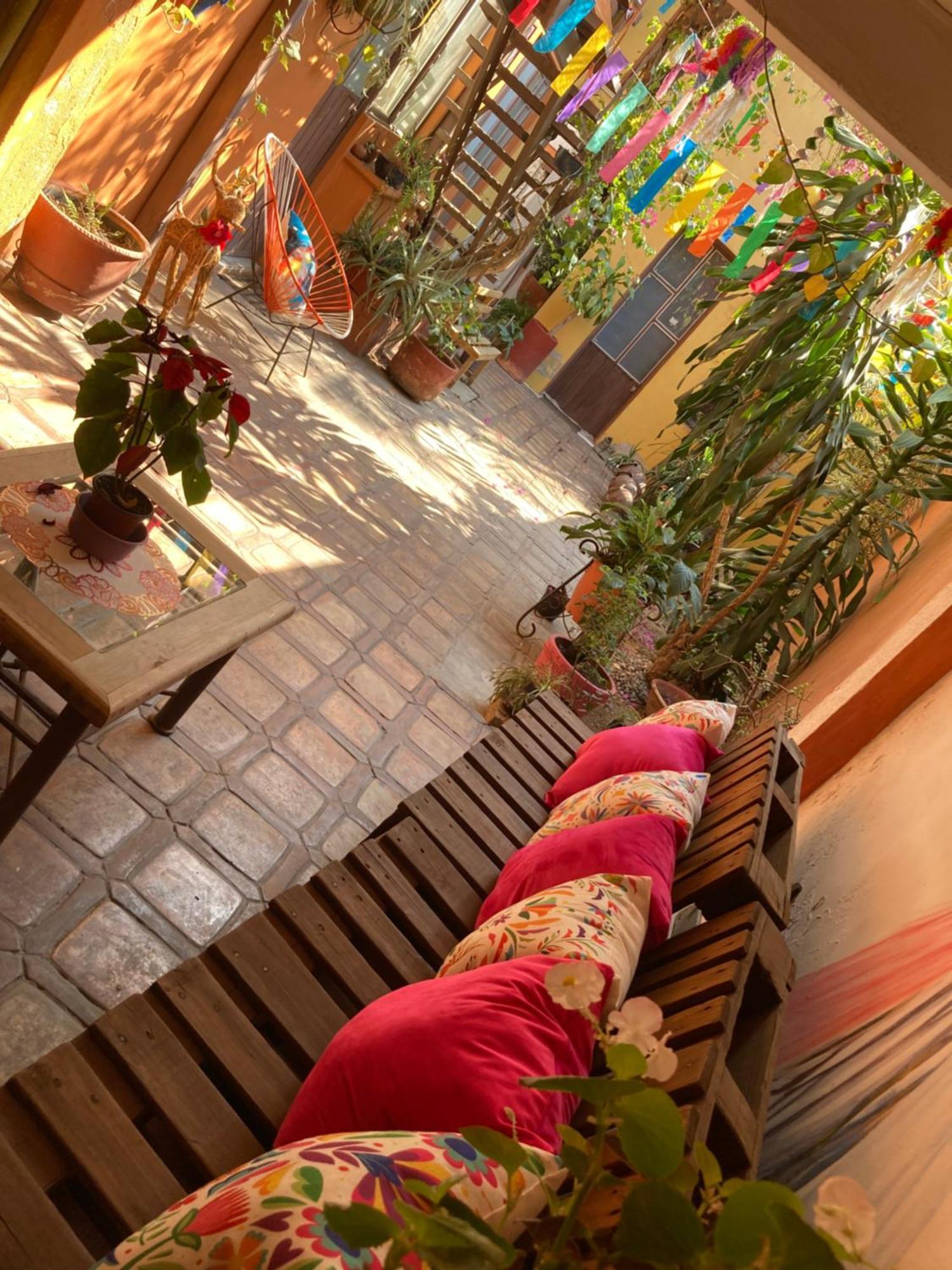 Oaxaca Calida Habitacion A 10 Min De Santo Domingo מראה חיצוני תמונה